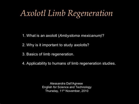 Axolotl regeneration