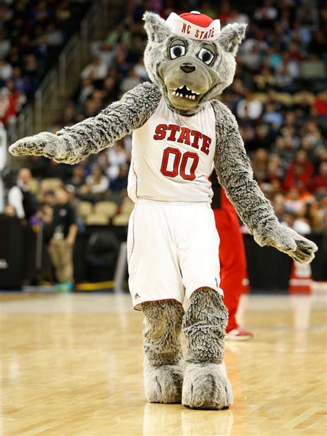 North Carolina State mascot takes shot at North Carolina's NCAA issues