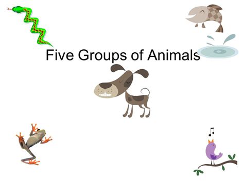 Top 195 + What are the five groups of animals - Lifewithvernonhoward.com