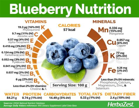 Blueberry Nutrition | Blueberries nutrition, Nutrition, Nutrition recipes