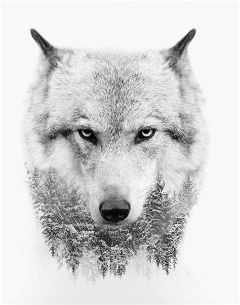 Witte wolf Poster l Scandinavische Posters l ONLINE POSTER KOPEN.