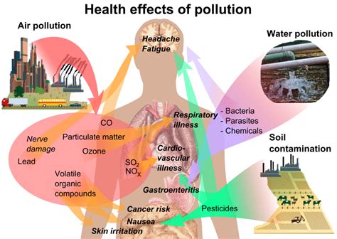 Effects of Pesticides on human Heath - Asianmedic