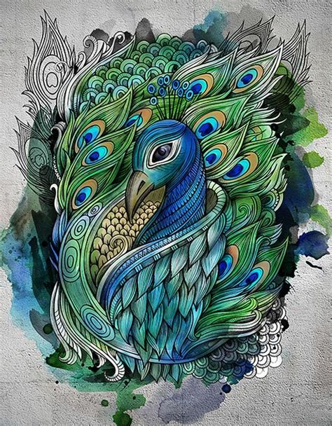 Peacock Drawing Sketch at GetDrawings | Free download