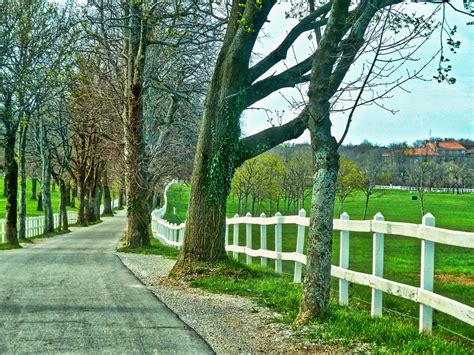 Fence Driveway Perspective - Free photo on Pixabay - Pixabay