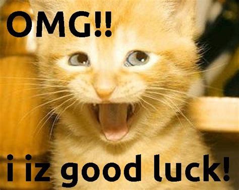 Good luck Charm | Great Cat Memes | Pinterest