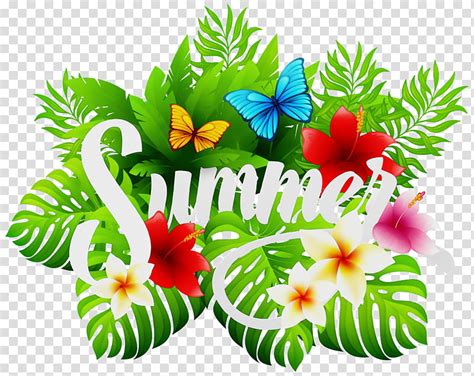 Summer Flower, For Summer, Summer , Drawing, Plant, Petal, Leaf, Wildflower transparent ...