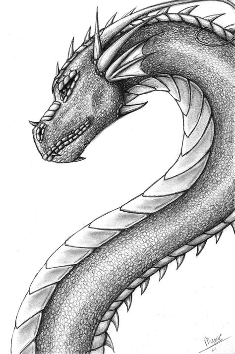 Dragon Pencil Sketch at PaintingValley.com | Explore collection of Dragon Pencil Sketch