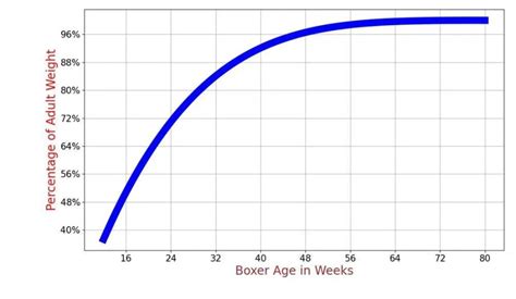 Boxer Growth Chart. Boxer Weight Calculator.