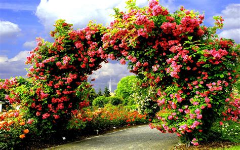 Roses Garden Wallpapers - Wallpaper Cave