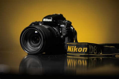 The Best Nikon Cameras for Beginners | Skylum Blog