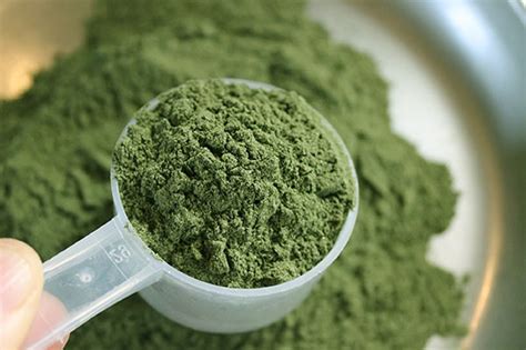 What You Need to Know About the New Hyped Drug: Kratom