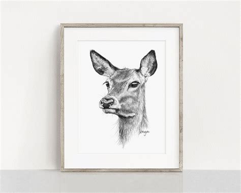 Deer Art PRINT Red Deer Pencil Drawing Wall Art Woodland - Etsy