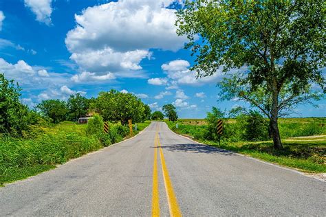 The Bend in the Road, 캐노피, 숲, 텍사스, 미국, 평화로운, 고요한, 시골 여행자, 머리 위, 도로 풍경, 초록, 나무, 자연, 여행 HD 월페이퍼 ...