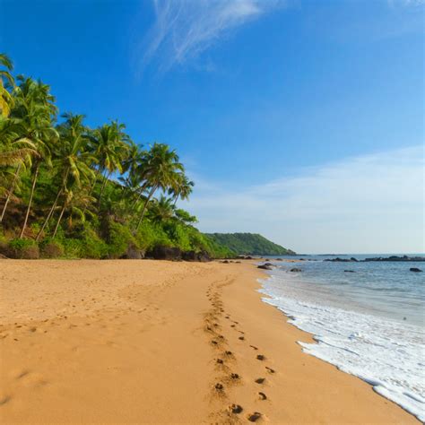 The blissful solitude of the Beaches of South Goa - ScoutMyTrip Blog