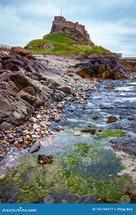 View of Lindisfarne Castle editorial photography. Image of fortress ...