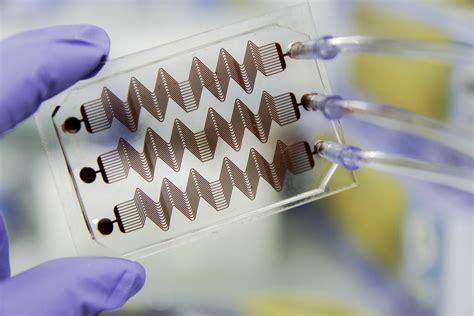 Microfluidic Hemostasis Monitor