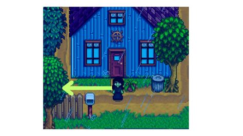 Secret Note 19 Walkthrough and Solution in Stardew Valley