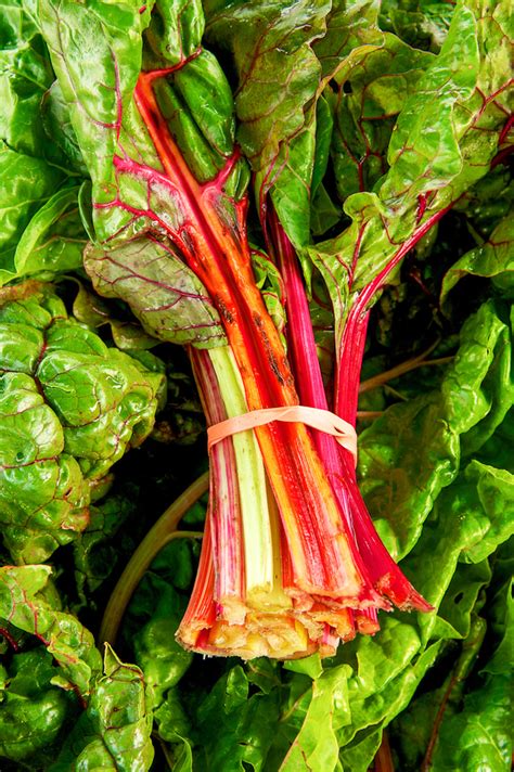 Swiss chard: about, nutrition data, photos, where found and 47 recipes