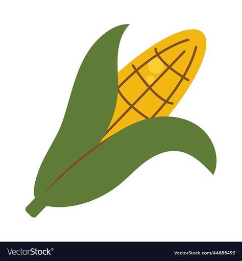 Corn cob icon Royalty Free Vector Image - VectorStock