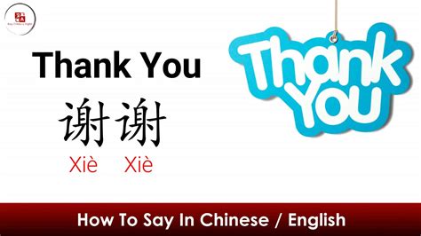 How to say "Thank You" (谢谢) | Mandarin Chinese & English - YouTube