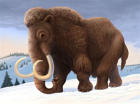 Mammoth history and some interesting facts | Wooly mammoth, Animals ...