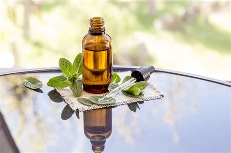 Using peppermint oil to get rid of mice: the organic way | Homes & Gardens