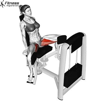 How To Do Hip Adduction Machine - Benefits, Muscles Worked