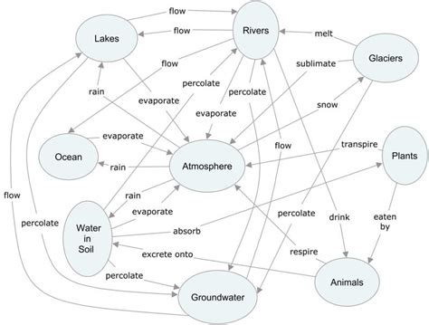 Precipitation and the Water Cycle - Science Pickle