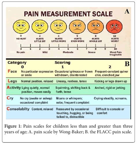 Assessment of Pain in Children Hospitalized in the Emergency Depa