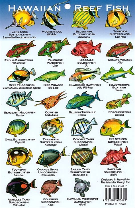 Fish chart, Tropical fish, Marine animals