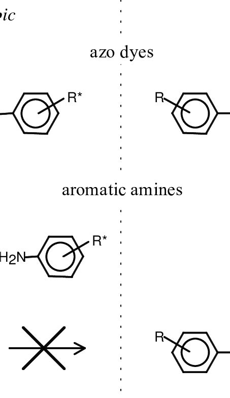 1 General overview of the fate of azo dyes and aromatic amines during ...