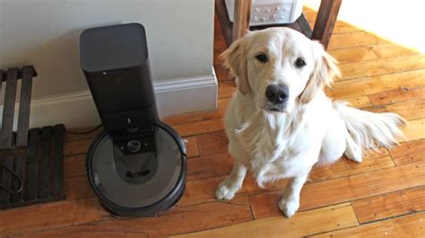 iRobot i7+ Review: The best money I spent as a pet owner - Reviewed