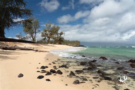 🏝 Paia Secret Beach (Maui): Ultimate 2024 Visitor's Guide