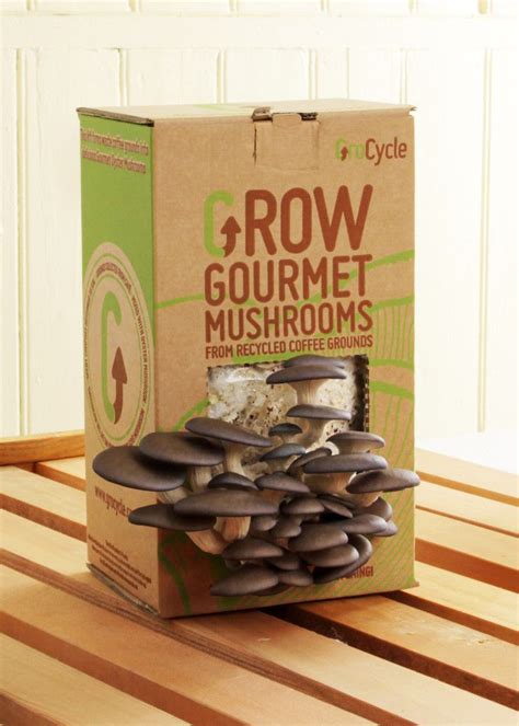 GroCycle Mushroom Kit | Mushroom kit, Stuffed mushrooms, Mushroom grow kit