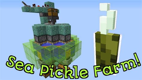 Aprender sobre 63+ imagem sea pickle farming minecraft - br.thptnganamst.edu.vn