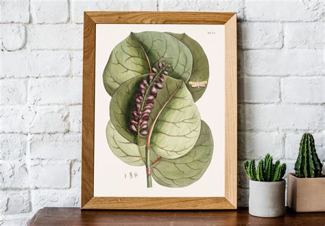 Vintage Botanical Wall Art Botanical Print Plant Decor - Etsy UK