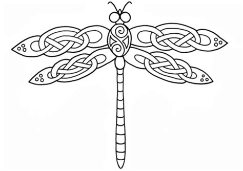 Celtic Dragonfly Design coloring page | Free Printable Coloring Pages