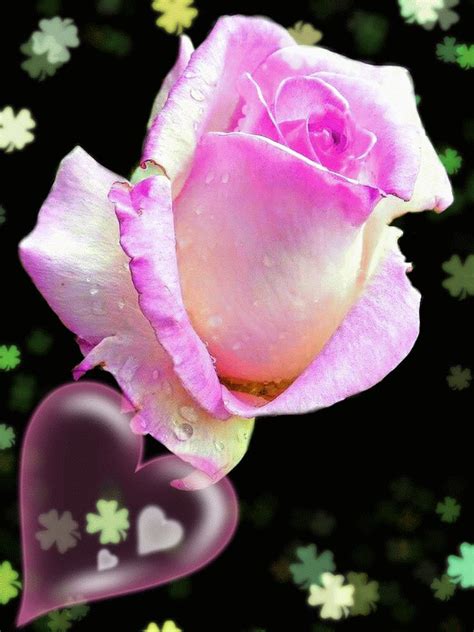 Animated Photo | Rose, Flowers, Animation