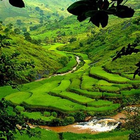 Araku Valley in Andhra Pradesh. This Araku Valley place lures people with pleasant weather ...