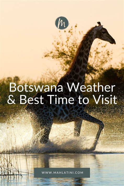 Here is a general guide for the weather in Botswana and for the best times to visit for some of ...