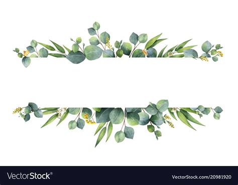 Watercolor vector hand painted green floral banner with silver dollar eucalyptus isolated on ...