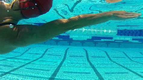 Tips to Swim Better Freestyle: Freestyle Progression Drills | Swimming, Freestyle, Drill