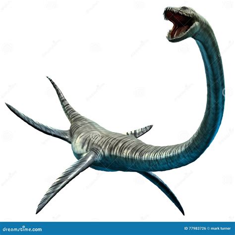 Elasmosaurus Stock Illustrations – 145 Elasmosaurus Stock Illustrations ...