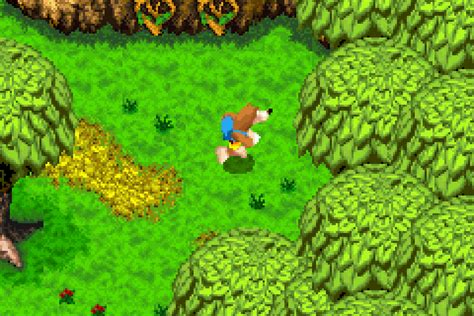 Banjo-Kazooie: Grunty's Revenge Download - GameFabrique