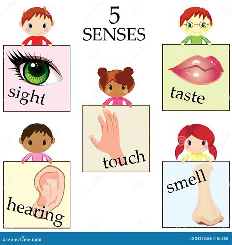 Five Senses Clipart Clip Art My Five Senses Senses | Images and Photos ...