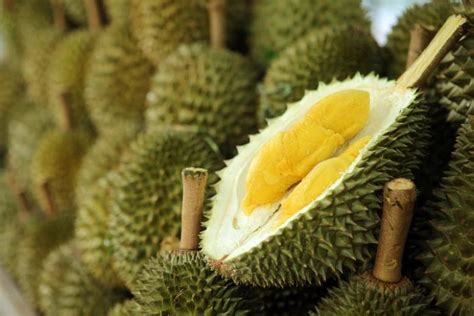 Gas leak or smell of durian? More than 500 evacuated from Australian ...