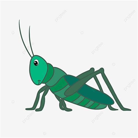 Cute Grasshopper Clipart Hd PNG, Cute Summer Little Insect Grasshopper Illustration, Grasshopper ...