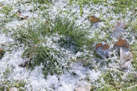 Winter Lawn Care: How To Take Care Of Grass In Winter | Gardening Know How