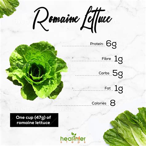 Romaine Lettuce Nutrition and Benefits - Healthier Steps