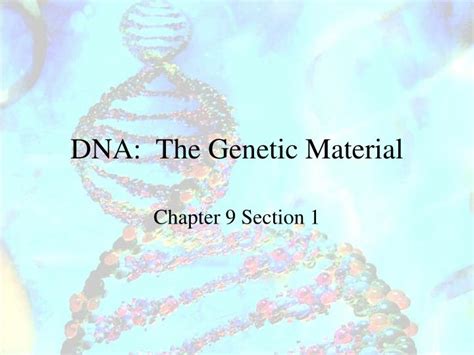 PPT - DNA: The Genetic Material PowerPoint Presentation, free download - ID:1678821